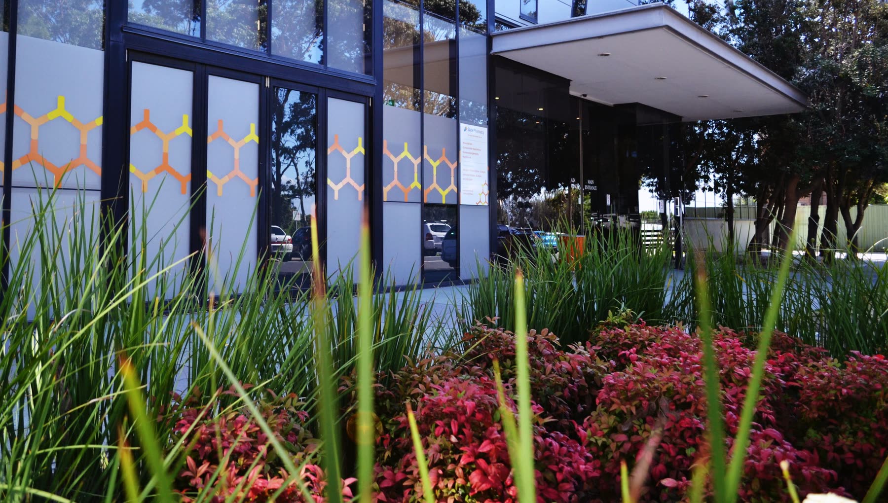 Entrance gardens at 5 Susono Way